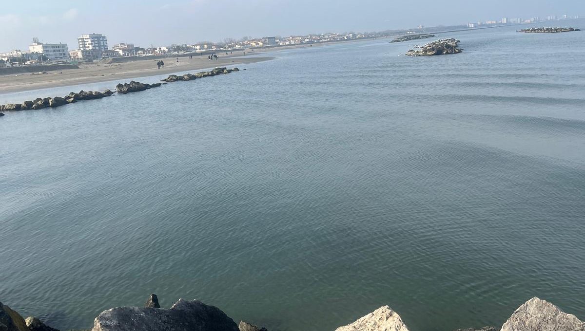 PHOTO-2026-02-28-19-26-32