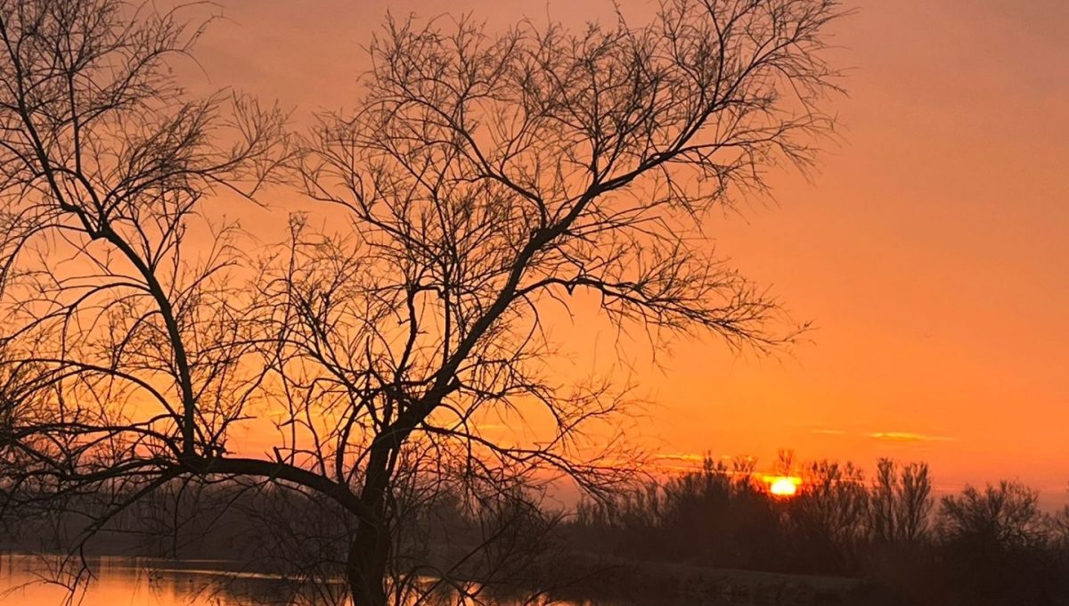 b43b7bbc-a11a-4800-8710-505f1b841998