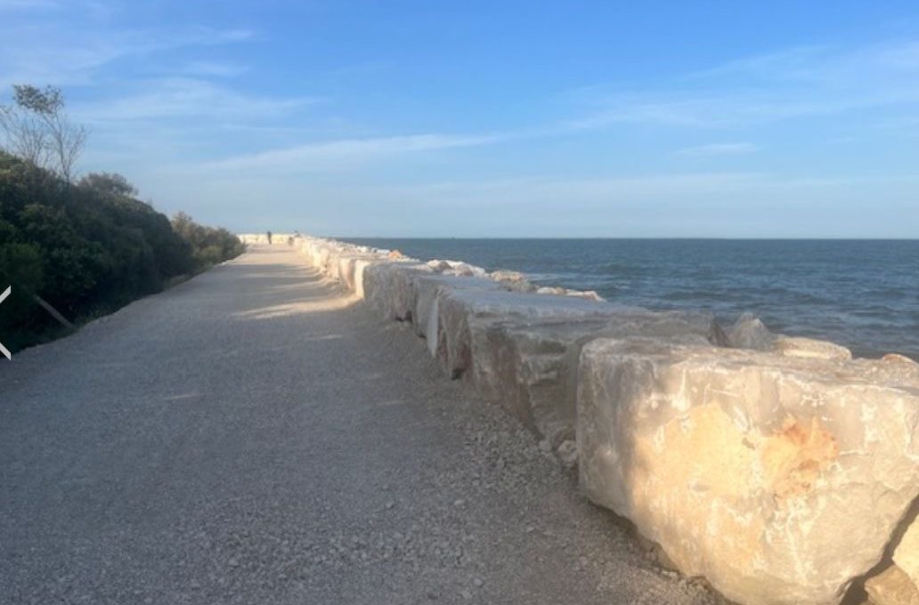 ff7928cc-dd8c-4b82-b5ab-ec98cee0d69f