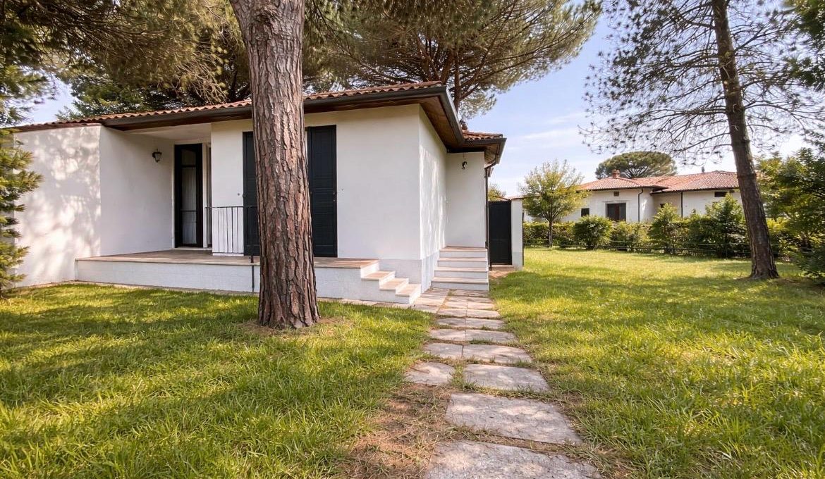 10319b24-ab47-4706-a346-037e9a2fc174